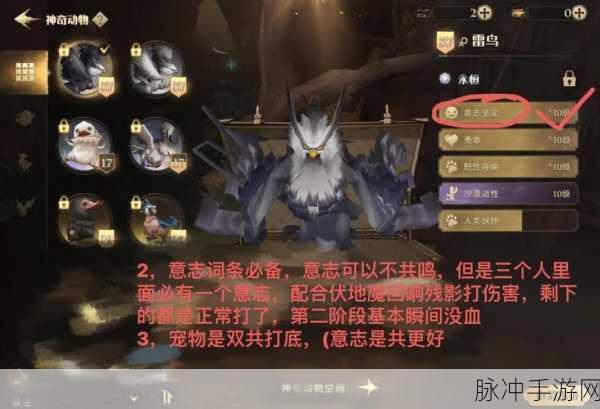 哈利波特魔法觉醒段位等级全面解析与提升技巧