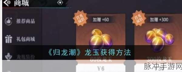 归龙潮资源获取全攻略，如何快速获得游戏资源