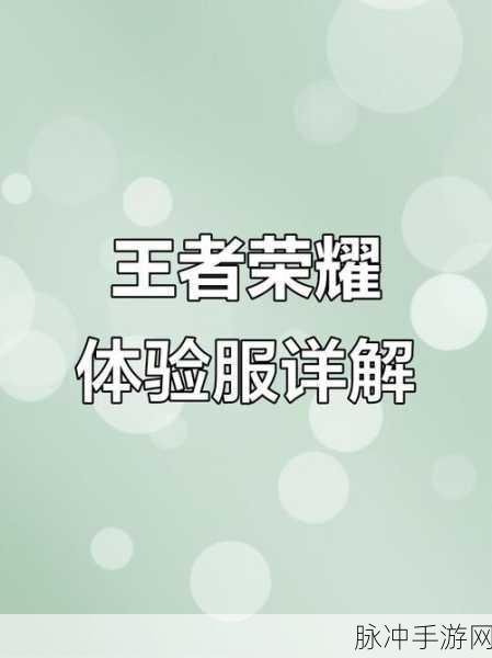 王者荣耀体验服资格消失之谜,手游公司视角下的深度解析