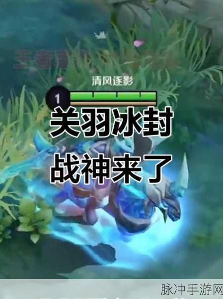 王者荣耀关羽冰封战神皮肤点券详解与攻略