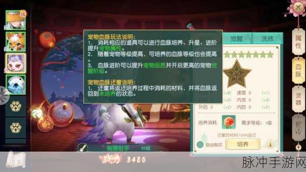 神雕侠侣手游宠物血脉精华深度解析与攻略