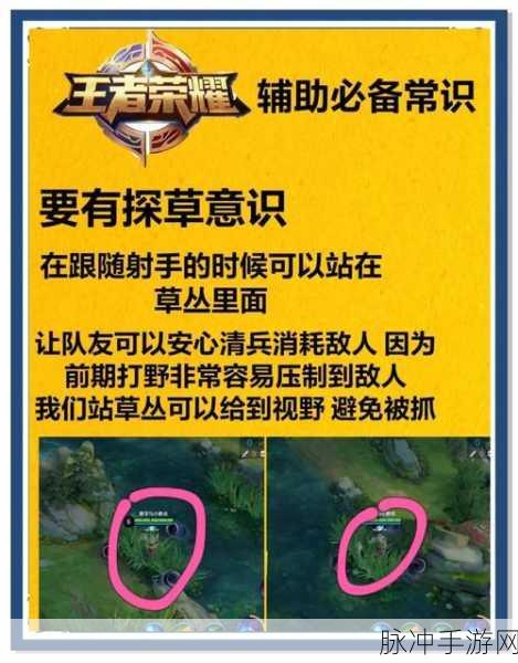 王者荣耀中，解锁成为顶尖辅助的全方位攻略