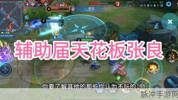 王者荣耀张良国服之路,分数与策略的深度解析