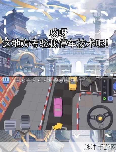 车场管理大师,解锁模拟停车益智闯关新体验