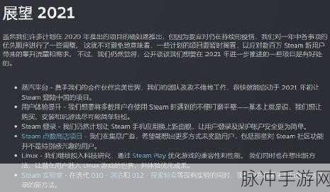 完美世界电竞Steam登陆验证码频繁问题全解析