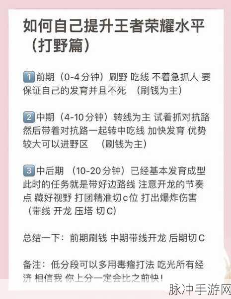 王者荣耀裁决任务完成全攻略,详解裁决任务流程与高效技巧