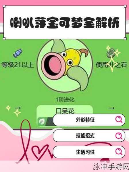 宝可梦大探险,高效放生宝可梦方法全解析