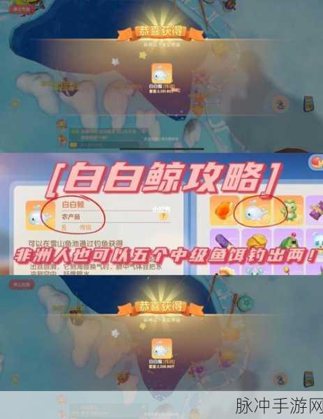 摩尔庄园手游攻略，探寻白白鲸的神秘踪迹与钓鱼位置详解