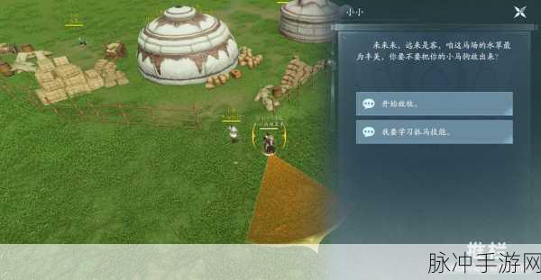 剑网3手游深度攻略，高效捕获马驹与马驹具获取策略