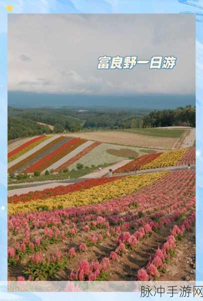 锦绣花田，探索非常趣味的经营养成之旅