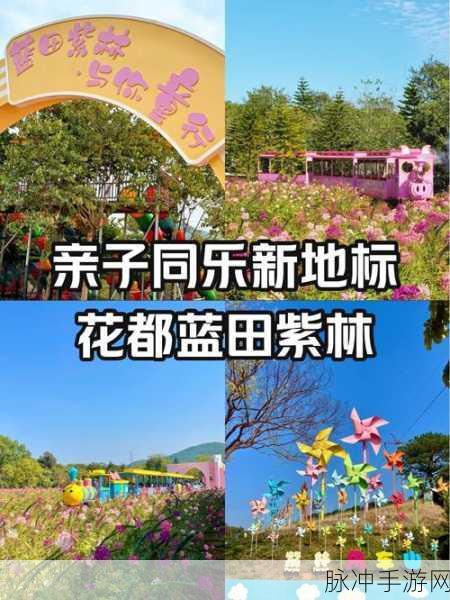 锦绣花田,探索非常趣味的经营养成之旅
