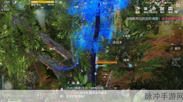 妄想山海手游攻略，四万九战力能否单刷神树？