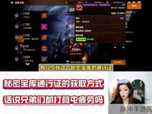 揭秘DNF手游仓库密码链接,全面守护你的游戏财富策略