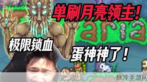 泰拉瑞亚生命上限深度解析,如何达到最高血量