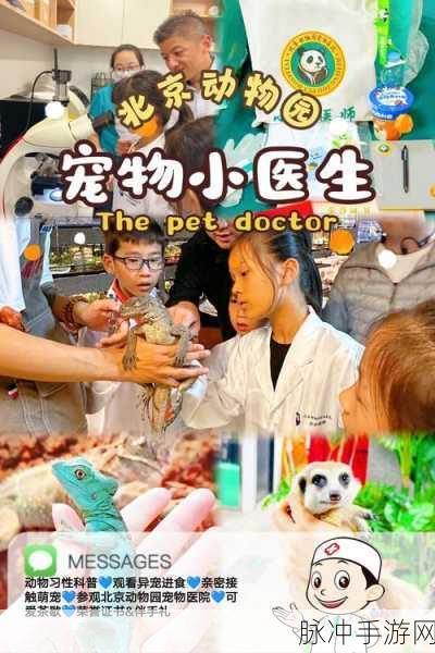 动物医院小猫游戏下载，体验轻松好玩的模拟医生做手术之旅