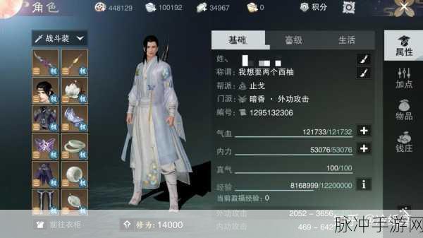 楚留香手游深度攻略，暗香秘籍坚毅属性全解析