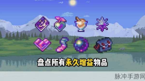 泰拉瑞亚铁皮buff全面解析,攻略助你轻松掌握防御增益之力