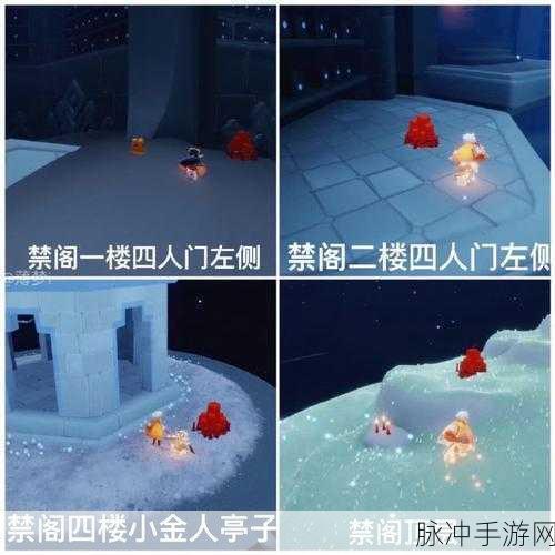 光遇夜行季第五个任务全攻略，解锁雨林水母图的秘密