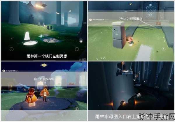 光遇夜行季第五个任务全攻略,解锁雨林水母图的秘密