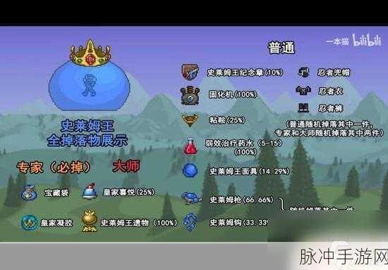 泰拉瑞亚派对药瓶图鉴,获取方式与玩法详解