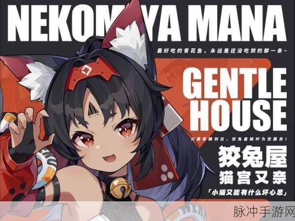 绝区零贼猫捉贼剧情委托完成攻略，详细步骤与技巧解析