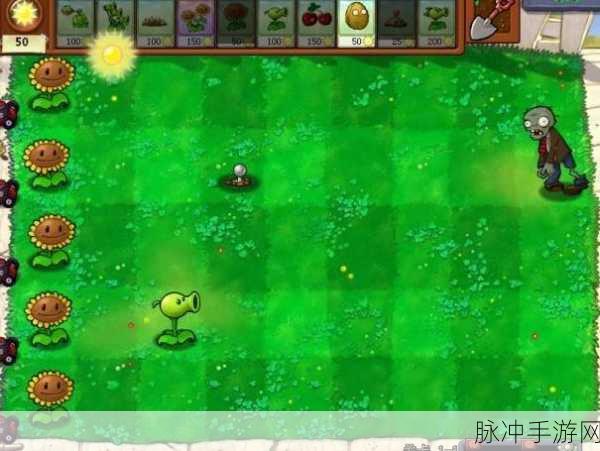 代号生机内测时间迷雾重重，玩家翘首以盼的真相揭秘