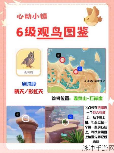 摩尔庄园手游攻略，全面解析哒哒鸟捕捉方法