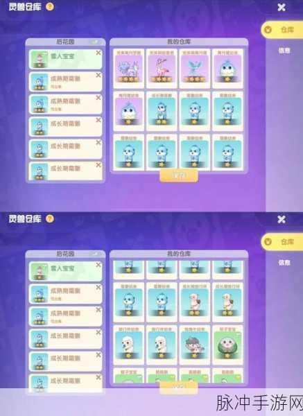摩尔庄园手游攻略，全面解析哒哒鸟捕捉方法