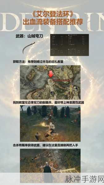 艾尔登法环双持攻略,深度解析与实战技巧分享