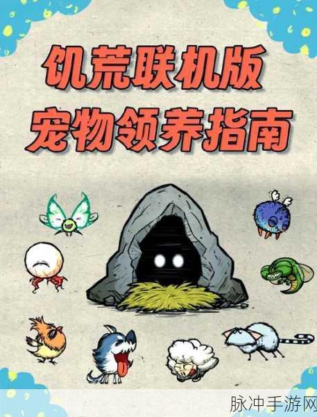 黑暗荒野2，宠物选择指南——探寻最佳宠物伙伴，助你荒野求生之路更顺畅