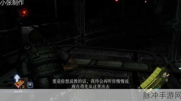 克里斯领航,生化危机下的英勇征途全攻略