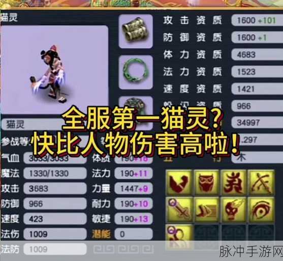 梦幻西游手游攻略，如何高效捕捉人形猫灵