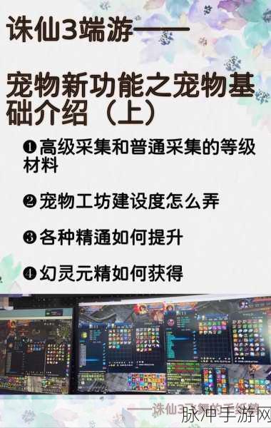 诛仙手游炼器技巧深度解析,助力玩家战力飙升的秘籍