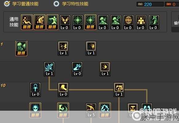 DNF圣耀服务提升等级全攻略，解锁你的游戏新境界