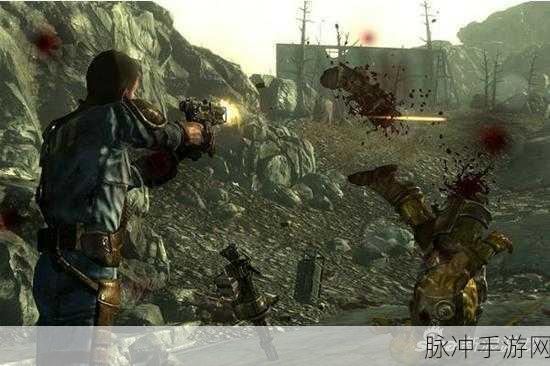 辐射3显卡荒原重生，深入废土的终极冒险指南