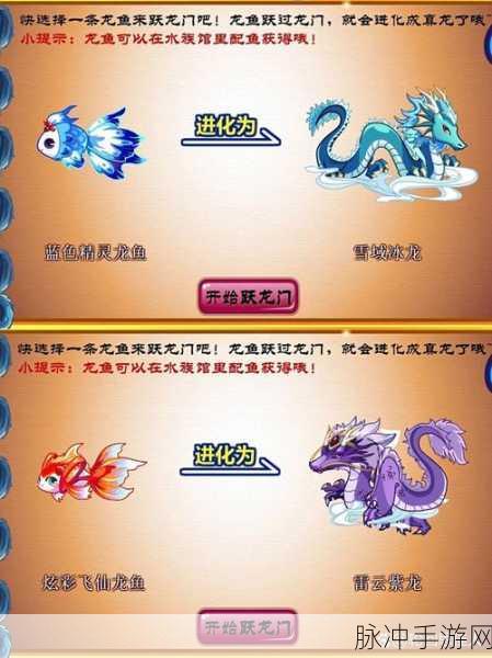 奥比岛手游龙鱼钓鱼全攻略，掌握技巧，轻松捕获珍稀龙鱼
