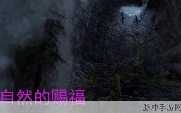 上古卷轴5手游攻略，自然的赐福完美结局达成详解