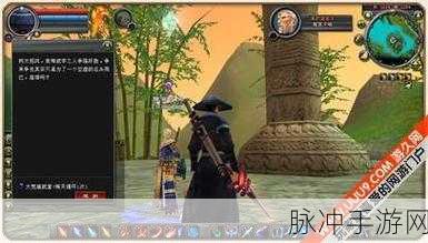 天下手游大荒演武堂通关全攻略，解锁副本技巧，助你轻松登顶
