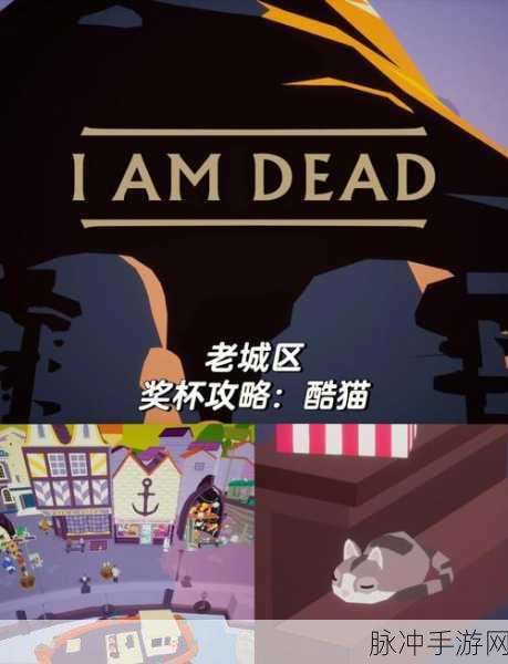 街头猫王，探索猫咪王国的趣味放置之旅