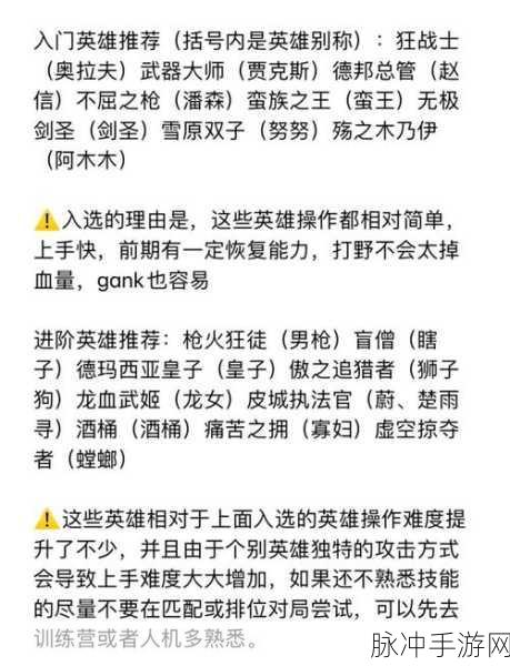 英雄联盟手游攻略，揭秘同时拥有法术强度与攻击力的英雄