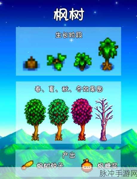 2025年热门手游指南，星露谷物语中稀有枫树品种的识别与培育攻略