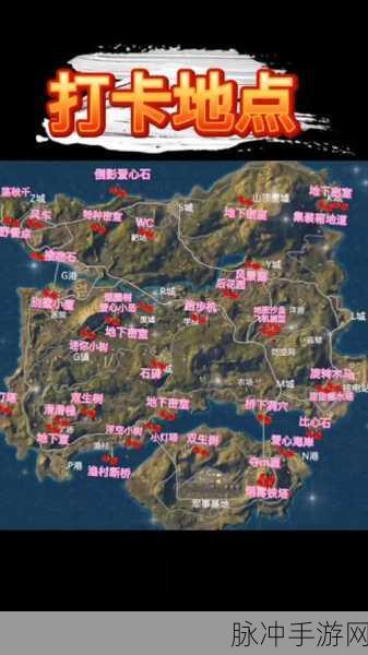 和平精英倒地标点全攻略，揭秘关键时刻的精准标点技巧