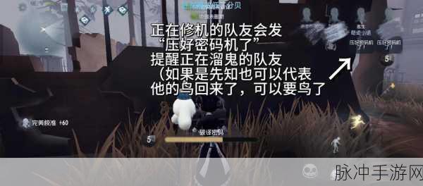 第五人格深度攻略，掌控人机，决胜自定义战场的艺术