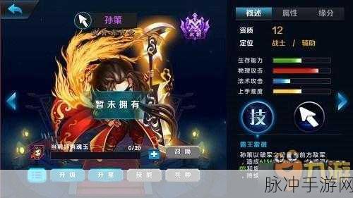 孙策,乱世三国志中的英勇武将深度解析