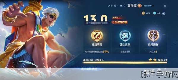 荣耀巅峰的箭矢——王者荣耀第一射手玩家的荣耀之路