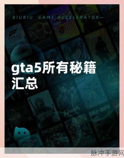 GTA5秘籍大揭秘,高效攻略助你快速刷取黄金与艺术品