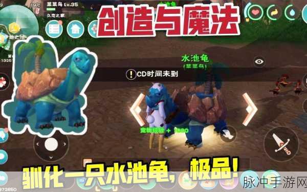 创造与魔法,乌龟驯服与捕捉方法全面解析