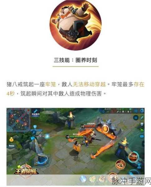 王者荣耀新动向深度解析，猪八戒体验服上线与周五惊喜揭秘