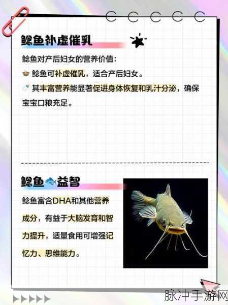 鲇鱼养殖乐趣多,我是鲇鱼养殖户下载指南及深度攻略