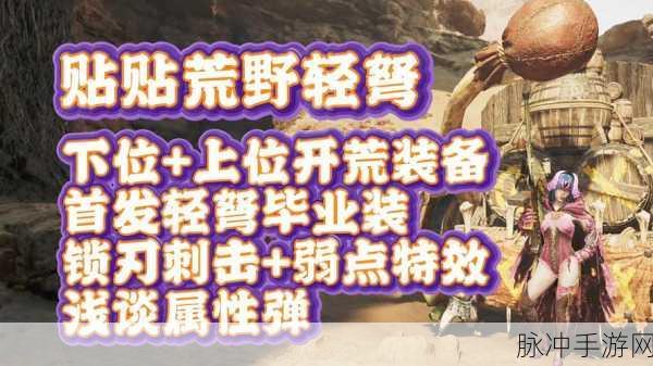 怪物猎人新手福音,弩炮之旅——贼弩使用全面指南